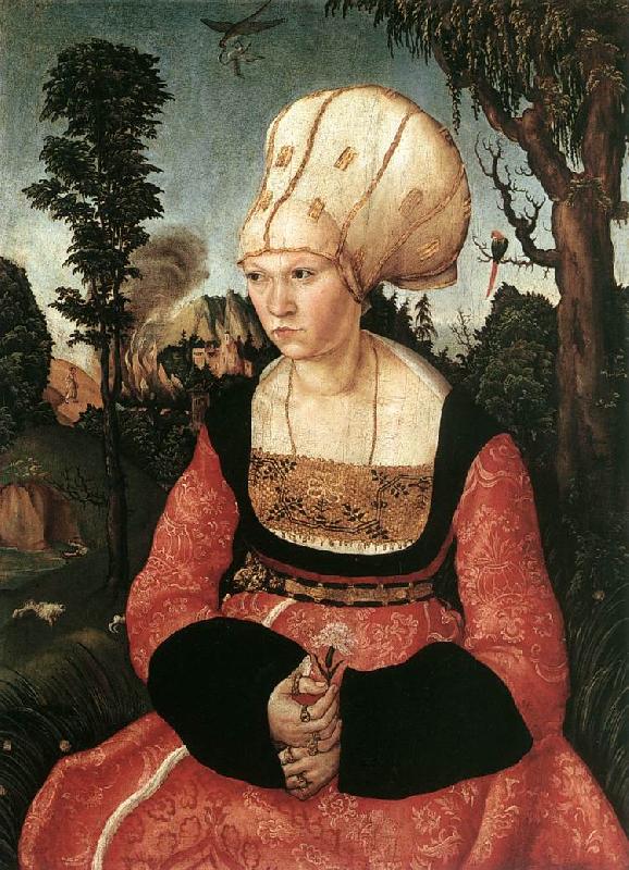 CRANACH, Lucas the Elder Portrait of Anna Cuspinian dfg Spain oil painting art